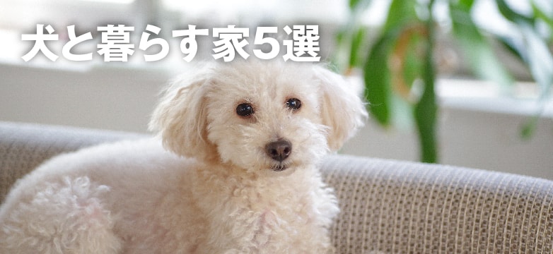 木の質感があるコンパクトな平屋の写真
