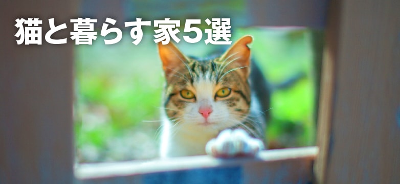 畑の前に建つオシャレな平屋の写真